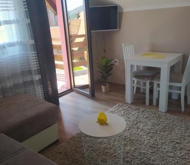Bajina Basta Apartment | Vila Jezero