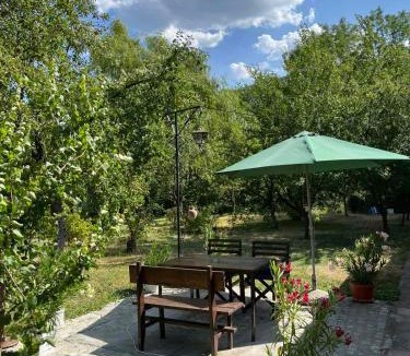 Dimitrovgrad Villa | Vila Petrov