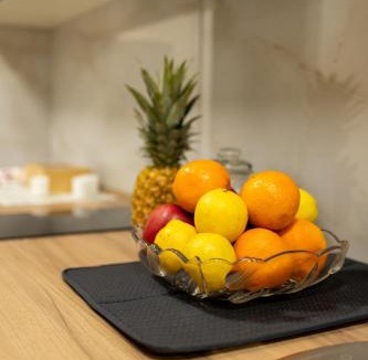 Pancevo Apartment | Vila Snježana