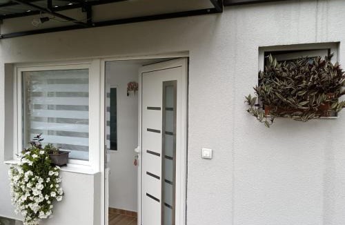 Prijepolje Apartment | Vila Vasilisa