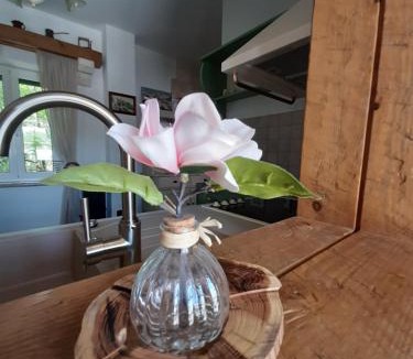 Selca Villa | Villa Bunischa