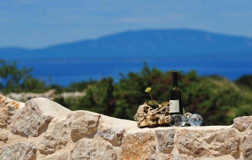 Novalja Villa | Villa Dabo