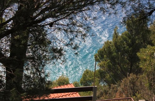 Marusici Apartment | Villa Gwendolynn
