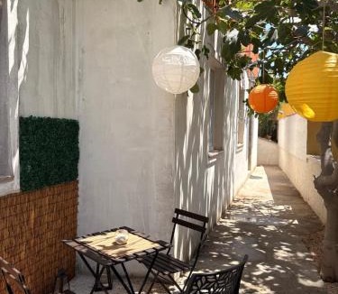 Vir Apartment | Villa Krajina - Beach & BBQ