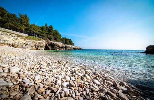 Liznjan Apartment | Villa Krasa sea view apartmants with pool