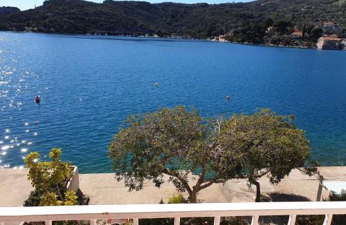 Zaton Apartment | Villa Malfi-Studio Apartment with Balcony and Sea View A2