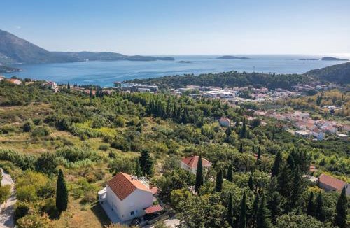Petraca House | Villa Mambo