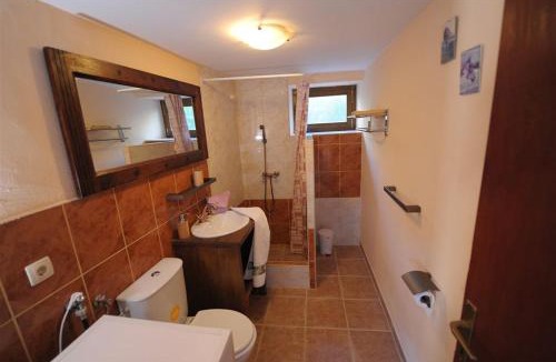 Malinska-Dubasnica Villa | Villa Saint Vid