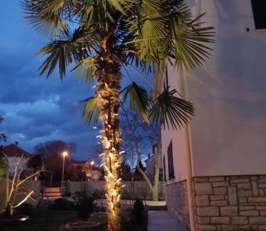 Biograd na Moru Villa | Villa Tea T
