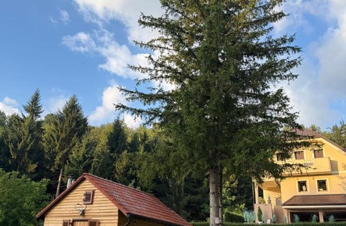Postojna Villa | Villa Tin & Koča Tin - Nature, Water and Peace