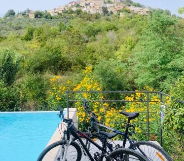 Motovun Villa | Villa Toro
