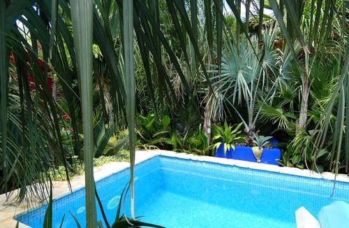 Kastel Kambelovac Villa | Villa Tropica - Secluded Private Pool, Jungle Garden, Soulful Escape near Split & Trogir