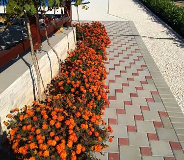 Velim Villa | Villa Verbena