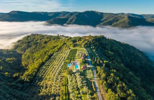 Sveti Bartol Villa | Villa with Private Pool & Lake View near Motovun, Casa Mille Olivi Modern