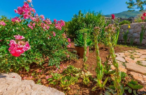 Vrgorac Villa | Villa with swimming pool