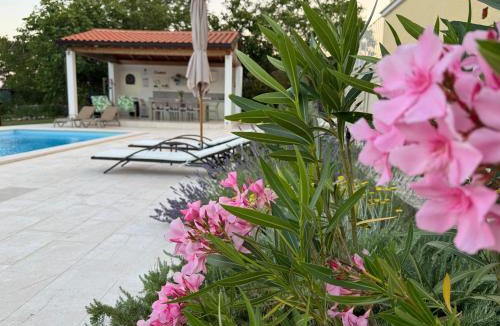Labin Villa | Villa Yucca Istra