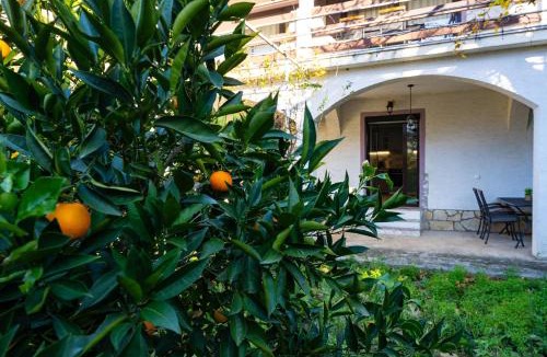 Biograd na Moru Apartment | Villa Zlata