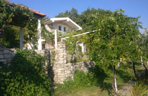 Popovici House | Village isolated peaceful with pool , You are the only guests in the house !