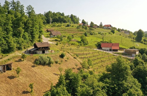 Srednje Grcevje Cottage | Vineyard cottage Škatlar 1