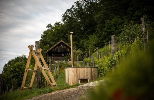 Srednje Grcevje Cottage | Vineyard cottage Škatlar 3