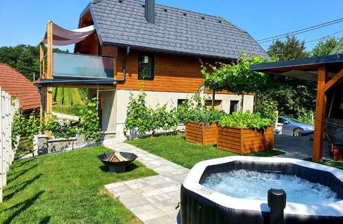 Trebnje House | Vineyard cottage Matej