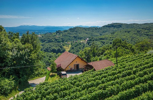 Srednje Grcevje House | Vineyard Cottage Ucman, Otočec, Slovenia