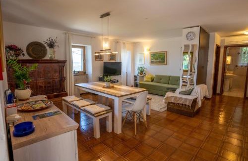Socerb Apartment | Violet's Place
