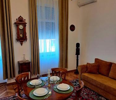 Carei Apartment | Weisz Castle style Apartment-City Center- Free Private Parking-Wifi-AC