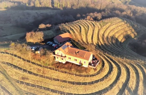 Videm House | Wine Estate on a Private Hill - Luxury with character for 15+