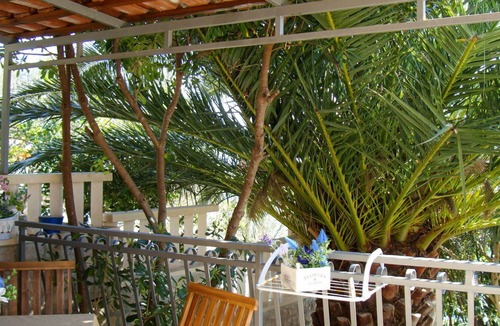 Cove Basina (Jelsa) House | Wonderful private villa for 4 people with A/C, WIFI, TV, terrace, pets allowed and parking