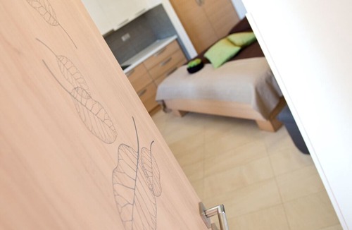 Divaca Apartment | Zenja Apartment 4