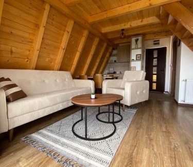Brdo Apartment | Zlatarski čardaci