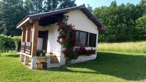 Šumska čarolija in Bajina Basta
