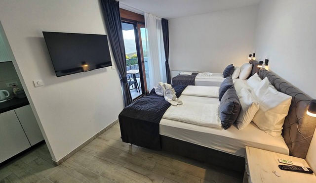 1BDR apartment, shared pool, kitchen, balcony, C12 in Sarajevo