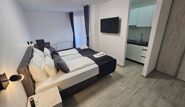 1BDR apartment, shared pool, kitchen, balcony, C13 in Sarajevo