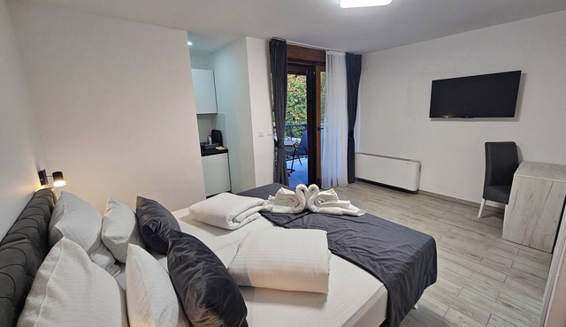 1BDR apartment, shared pool, kitchen, balcony, C24 in Sarajevo