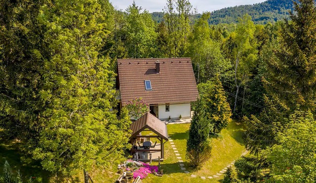 2 bedroom amazing home in Delnice