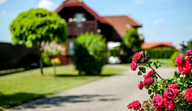 54 Green Road Varaždin in Kućan Marof