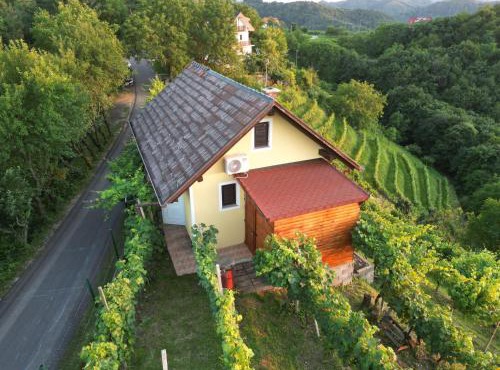 Adorable guesthouse in the middle of vineyards in Ptujska Gora