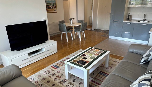 Ados Apartment Stunning Views 3BR Free Garage in Ilidža