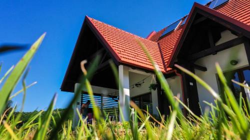 Agropensiunea LIZNO in Ozun