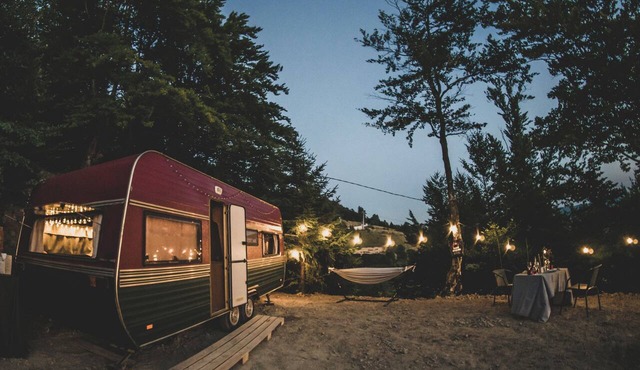 Amanita Wild Camper - Where the forest breathes and reality softens in Jieț