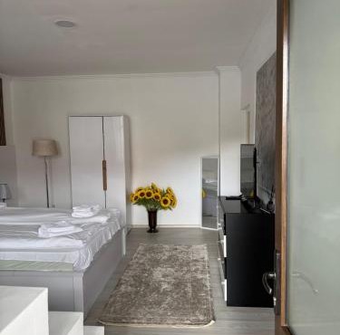 AME Home in Ocna Mures