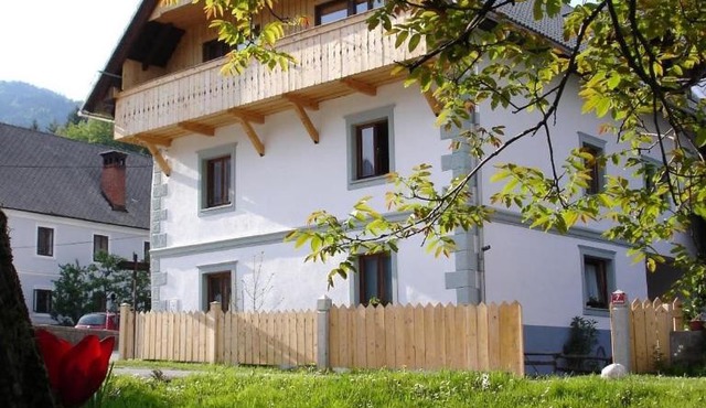 Ana Antloga Apartments in Bled