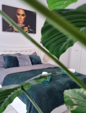 Apartament Ariana Rasnov in Rasnov