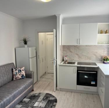 Apartament Ultracentral in Radauti