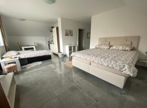 Apartma Azurre in Postojna