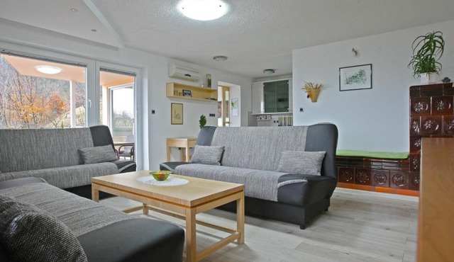 Apartma Metka Leše Tržič in Leše