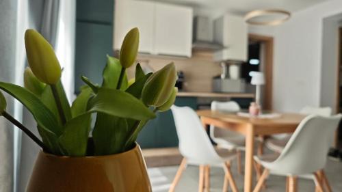 Apartma Mia Nadiža in Kobarid