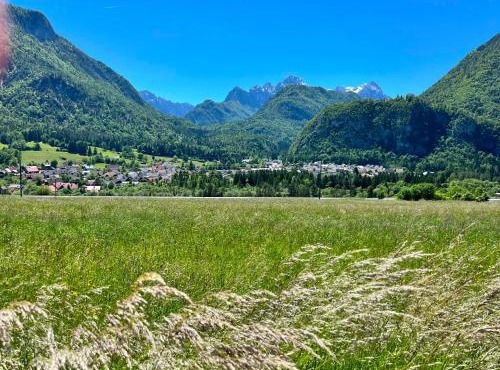 Apartma Tri Planike in Mojstrana